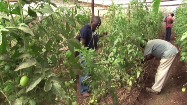 Trovato accordo sui migranti, Bellanova: mai coi caporali