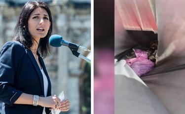 Ostia, dieci piccioni decapitati in spiaggia. Virginia Raggi: erano per me, basta intimidazioni