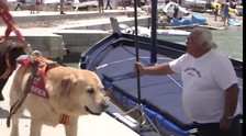Sicurezza in spiaggia, a Sperlonga debuttano i cani-bagnino