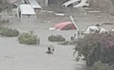 Palermo, le immagini choc: a nuoto per salvare chi è dentro le auto