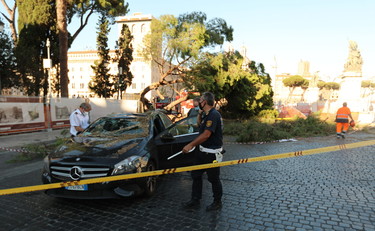 Quasi uccisa da un pino a Piazza Venezia e abbandonata dal Comune