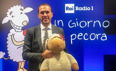 che scivolata a un giorno da pecora