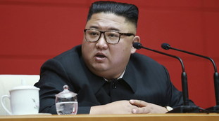 Kim Jong Un confisca i cani ai padroni. Orrore, dove finiscono