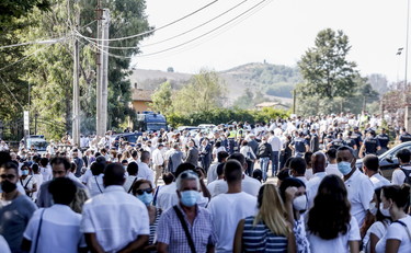 Medaglia d'oro al valor civile per Willy, la proposta della Meloni mette d'accordo tutti