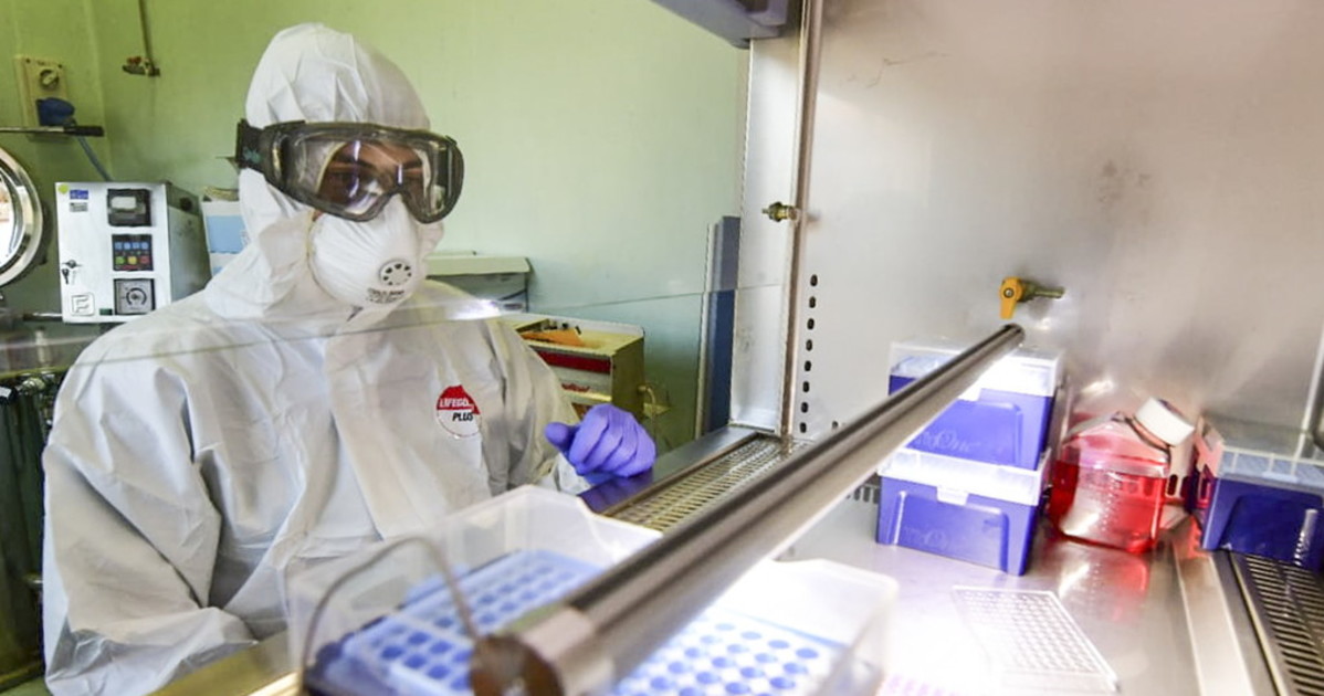 Immunologo choc, vaccino anti Covid a rischio efficacia Il Tempo