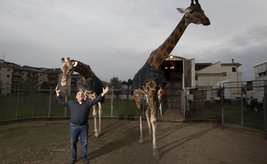 Circo in crisi, la protesta di Paride Orfei: stiamo morendo e ad altri danno la limousine