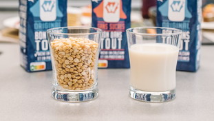 Ultima follia dell'Europa: latte sintetico col bollino qualità. Giorgia Meloni all'attacco del Nutri-Score