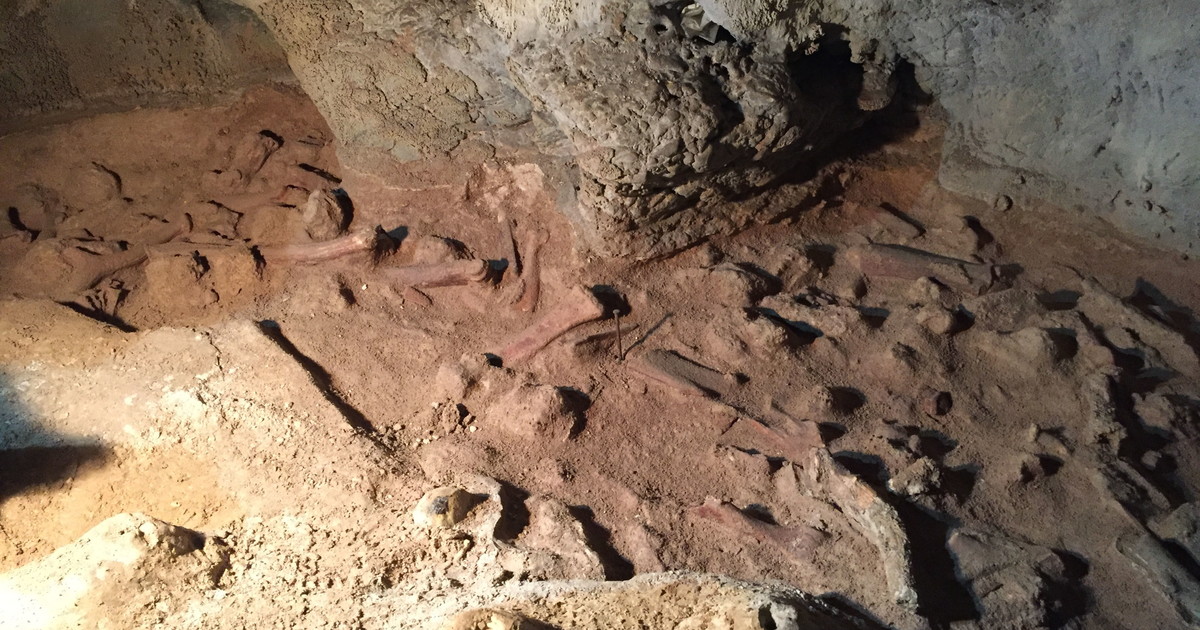 Pierina Paganelli, L'incredibile Ritrovamento Nel Suo Appartamento - Foto 5