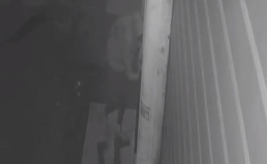 Ddl Zan, imbrattata a Roma la sede di Pro Vita e Famiglia