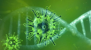 Ma quale Delta, la variante Epsilon fa paura davvero. Resiste a vaccino e anticorpi