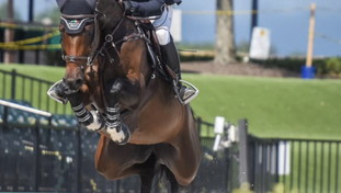 Tokyo 2020, scoppia il caso del cavallo israeliano: sfregio all'Italia