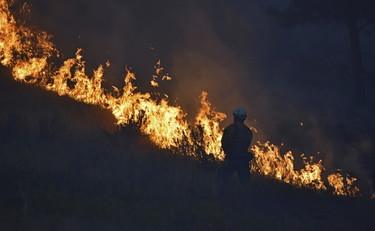 Davanti alle fiamme senza paura, il cane pastore diventa un eroe