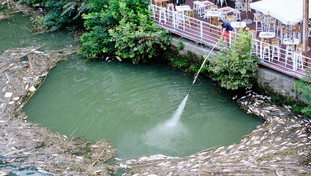 La strage di pesci nel Tevere mette nei guai la Raggi: colpa della sporcizia della città