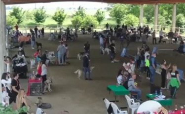 “Cavalli...e non solo”, il più grande raduno di animali domestici d'Italia