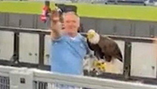 Fa il saluto romano all'Olimpico, la Lazio caccia il falconiere