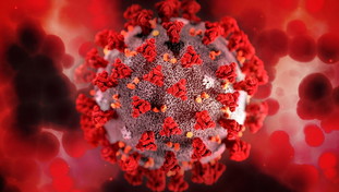 Self-extinguishing of the Delta Variant. The Case Collapse Study: Lethal Mutations