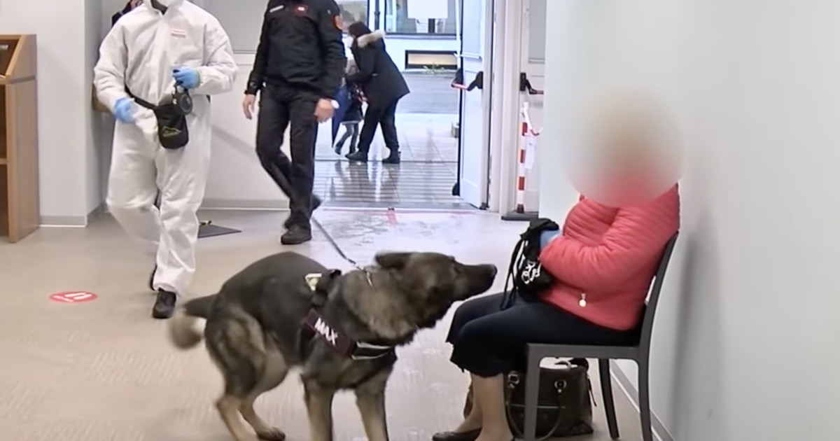 Covid: Primo Cane Positivo In Italia - 6