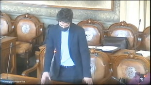 Una sardina che accusa due cani di aver ucciso due oche: l'intervento di Mattia Santori è virale