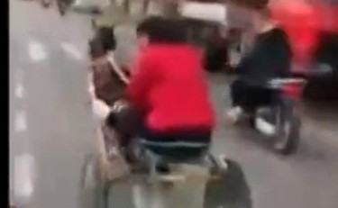 Corsa clandestina di cavalli in strada a Palermo, il video che fa infuriare Giorgia Meloni