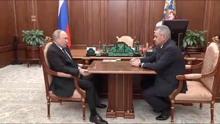 “Paresi, tremore e viso gonfio, ha il Parkinson?”. Il video di Putin scatena il generale Camporini