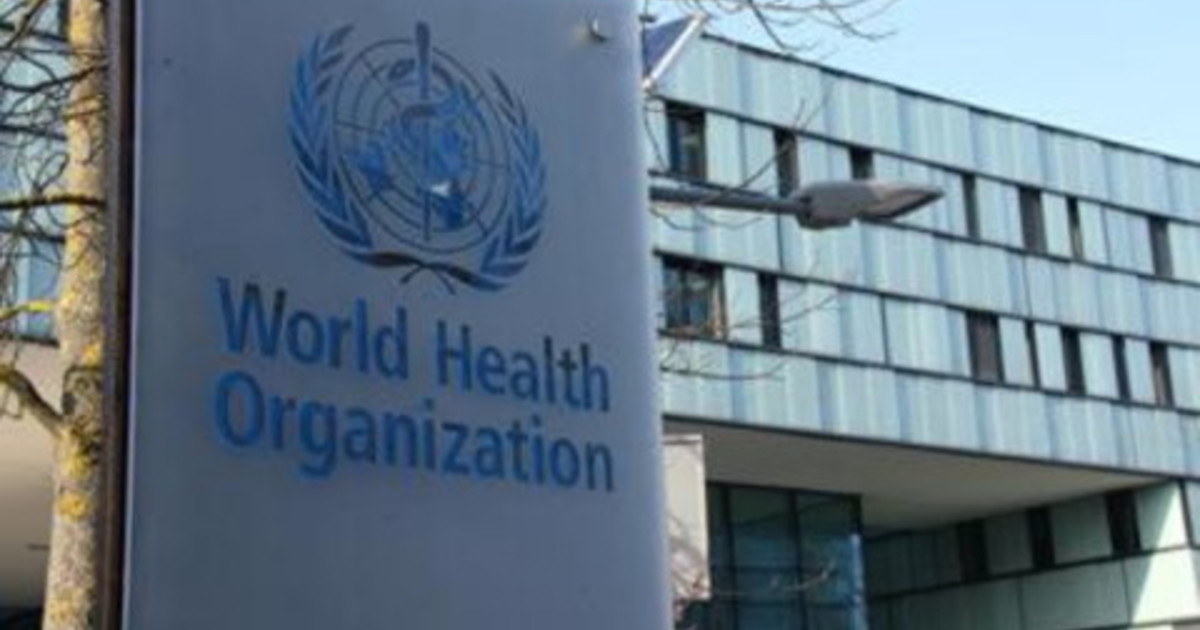 Sanità: Oms, no nuovi casi vaiolo scimmie in Uk ma rischio permane Sanità: Oms, no nuovi casi vaiolo scimmie in Uk ma rischio permane
