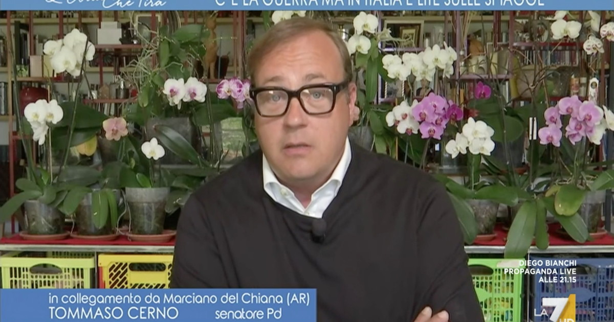 Ammutinamento di Cerno contro Draghi: “Si inc**za con noi per un suo errore sui balneari” Ammutinamento di Cerno contro Draghi: “Si inc**za con noi per un suo errore sui balneari”