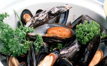 Escherichia coli oltre i limiti di legge, cozze ritirate dal mercato