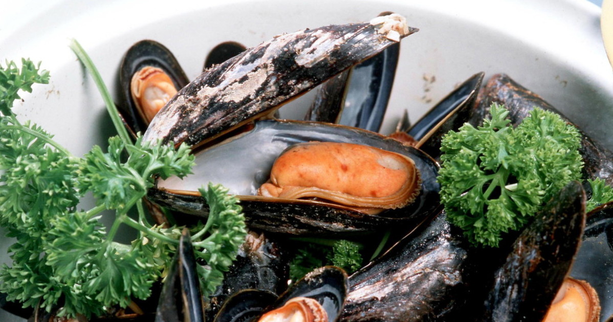 Escherichia coli oltre i limiti di legge, cozze ritirate dal mercato Escherichia coli oltre i limiti di legge, cozze ritirate dal mercato