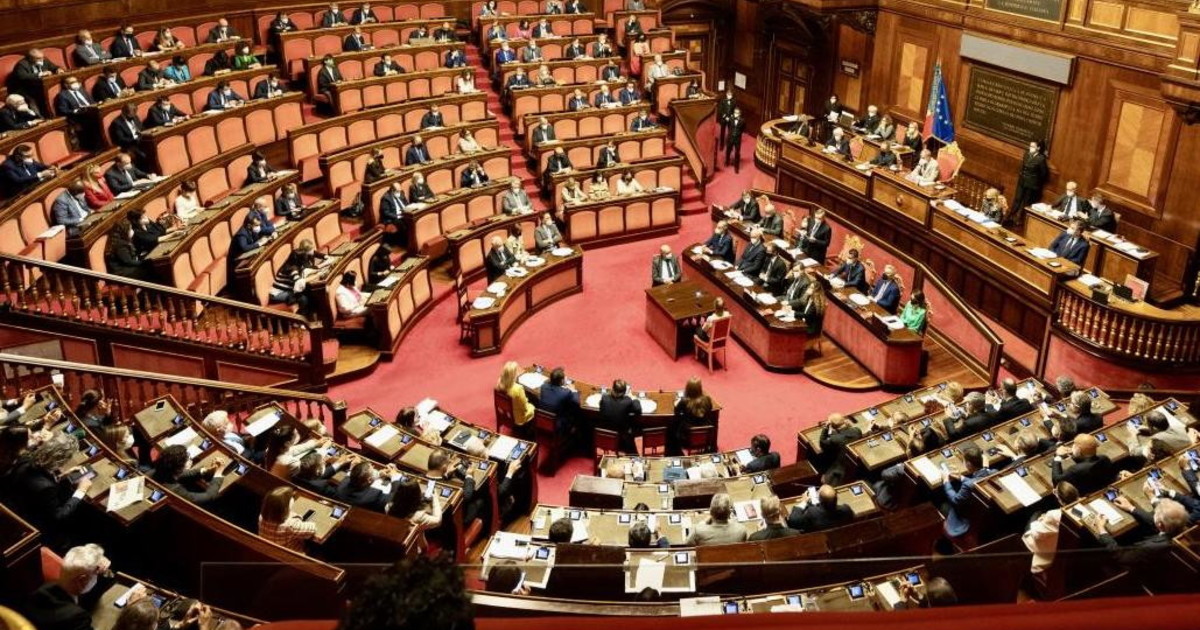 Il dirigente e la conduttrice, il senatore a vita l Il dirigente e la conduttrice, il senatore a vita l
