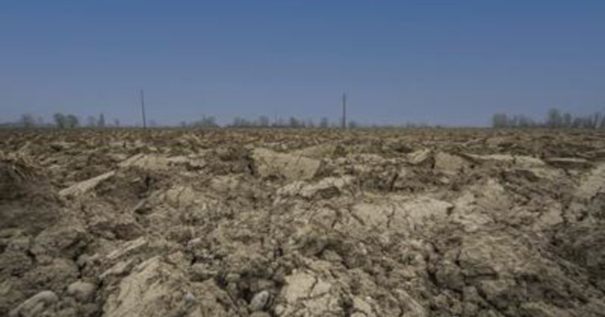 In California la siccità fa aumentare la bolletta elettrica In California la siccità fa aumentare la bolletta elettrica
