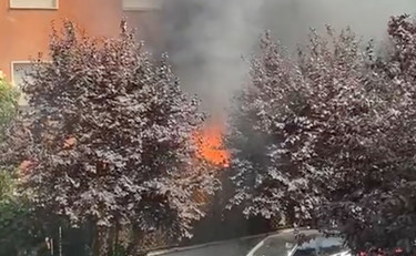 Divampano le fiamme a Monteverde: paura per l'improvviso incendio