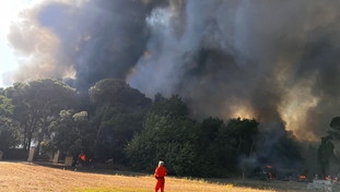 In fiamme la pineta di Castel Fusano. “Incendio drammatico”, a fuoco il bosco