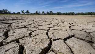 Arriva agosto e torna il caldo africano. Giuliacci fa sorridere tutti: “La buona notizia...”