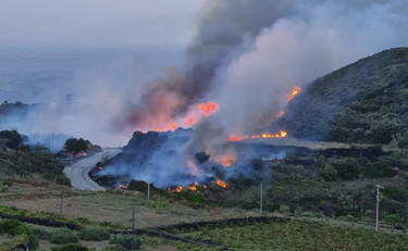 Canadair a Pantelleria, la Procura apre un'inchiesta sul rogo: ipotesi dolosa