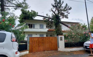 Travolti dagli alberi per il maltempo, due morti in Toscana