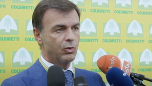 Coldiretti: a rischio 575  miliardi di euro di cibo made in Italy