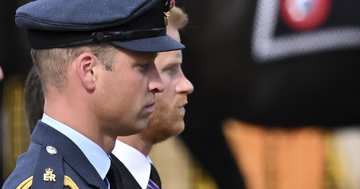 Harry e William fanno pace? Ecco come rompono il ghiaccio - Vimarsana News