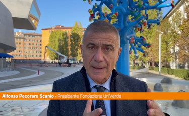 Pecoraro Scanio "Onorare vittime Ischia con raddoppio fondi dissesto"