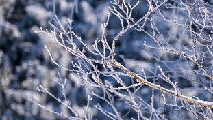 Nina e vortice polare: la previsione di Giuliacci fa tremare l'Italia