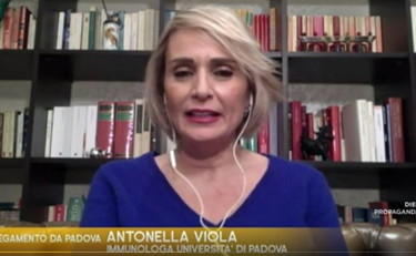 Hanno un problema di questione morale. Così Antonella Viola boccia la sinistra