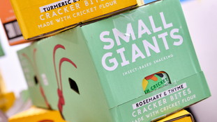 Ok dell'Ue all'importazione della farina di grillo: “È commestibile”