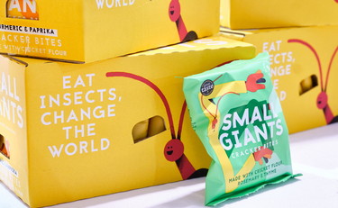 Carne finta, farina d'insetti, accuse al vino. Coldiretti mette in fila le follie Ue in arrivo