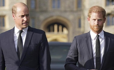 Furioso. Harry prende per i capelli William: la sparata su Lady Diana