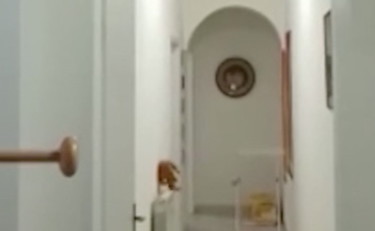 Dentro al covo di Messina Denaro: cosa c'era nella casa del boss