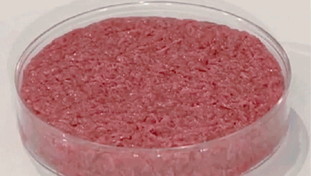 L'Europa finanzia i cibi sintetici con più di 20 milioni: strada già segnata