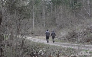 Caccia all'orsa JJ4: l'animale aveva già ferito due persone | GUARDA