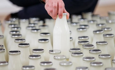 Arriva il latte sintetico. L'allarme di Coldiretti sul cibo in provetta