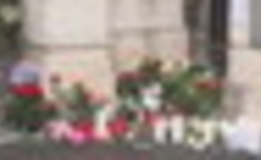 Fiori e candele davanti alla casa di Tina Turner