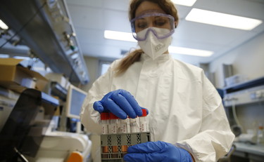 Letale per un contagiato su due. Il fungo-killer getta l'Italia nel terrore