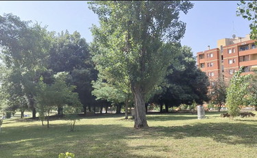 Piazza Franco Califano a Roma: ecco dove sarà